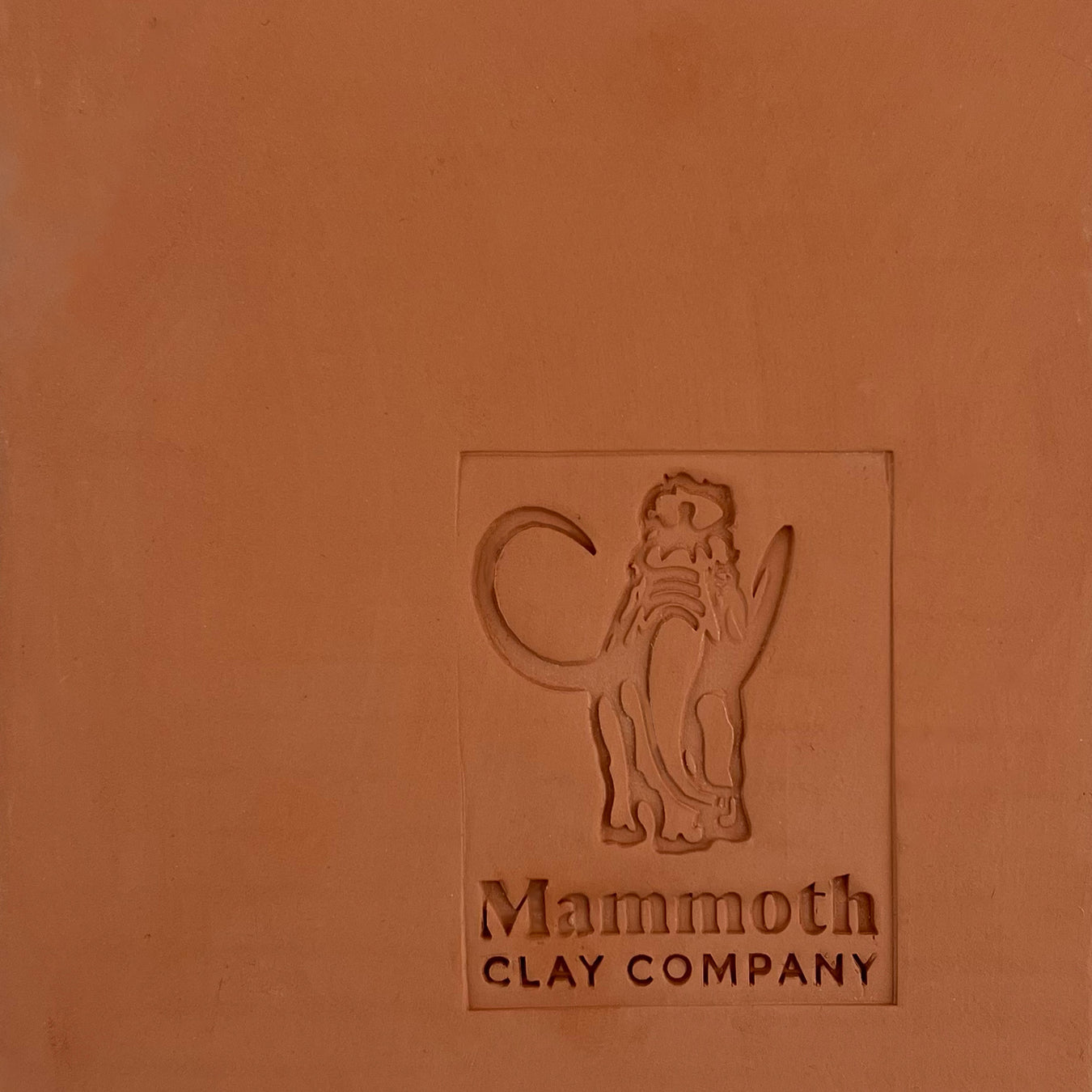 Low Fire Mammoth Clay