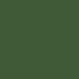 Evergreen Mason Stain