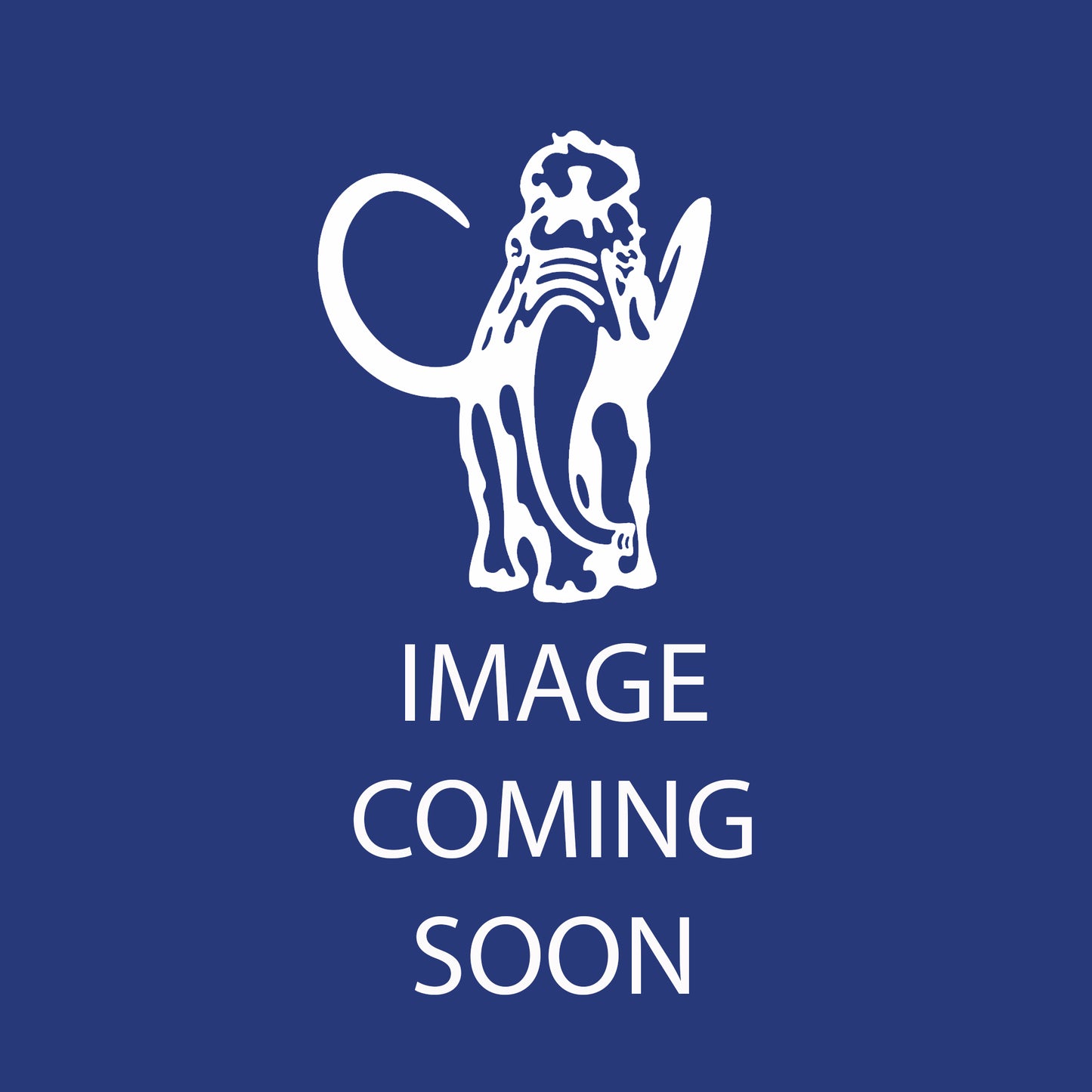 Nickel Oxide Black