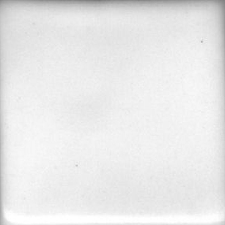 Satin White Liner Coyote Clay & Color