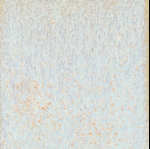 Coyote Clay & Color - Star Dust