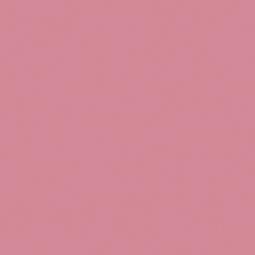 Shell Pink 6000 Mason Stain