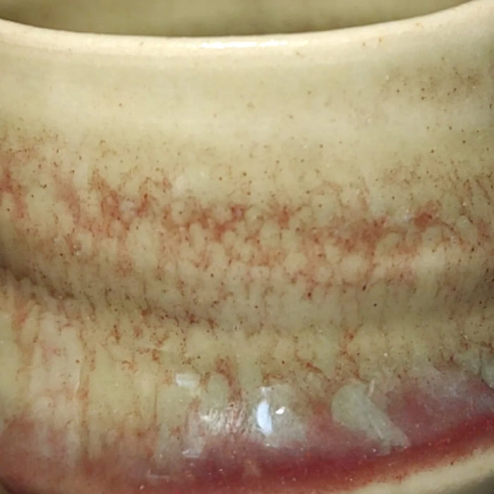 Chun Red Glaze - Penguin Pottery