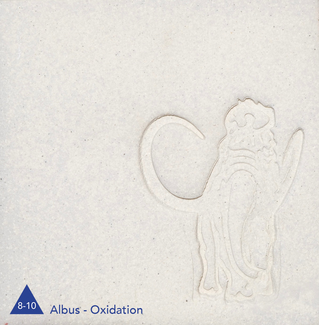 Albus Stone