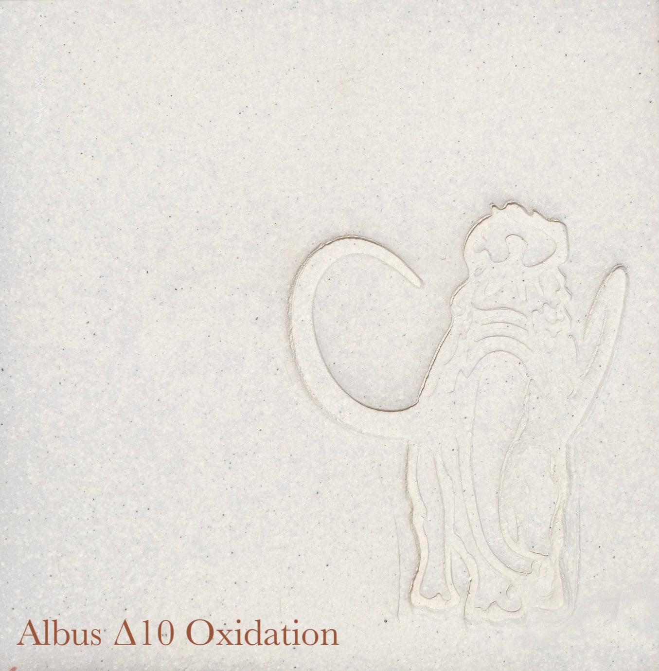 Albus Stone