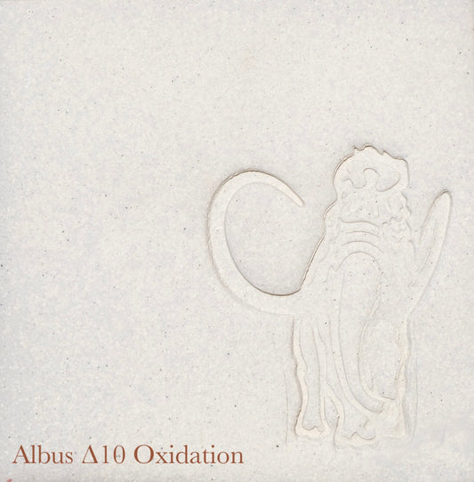 Albus Stone
