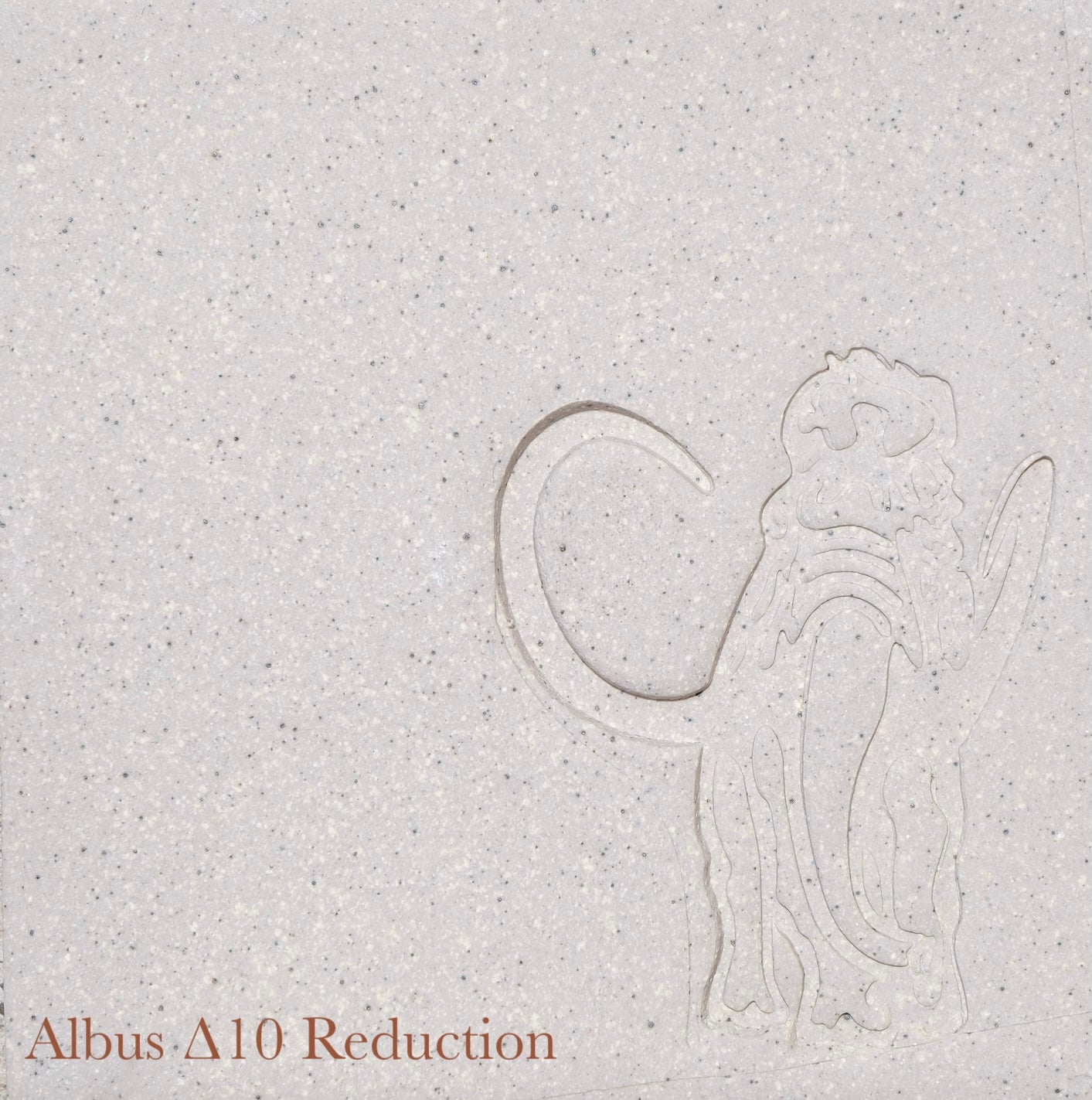 Albus Stone