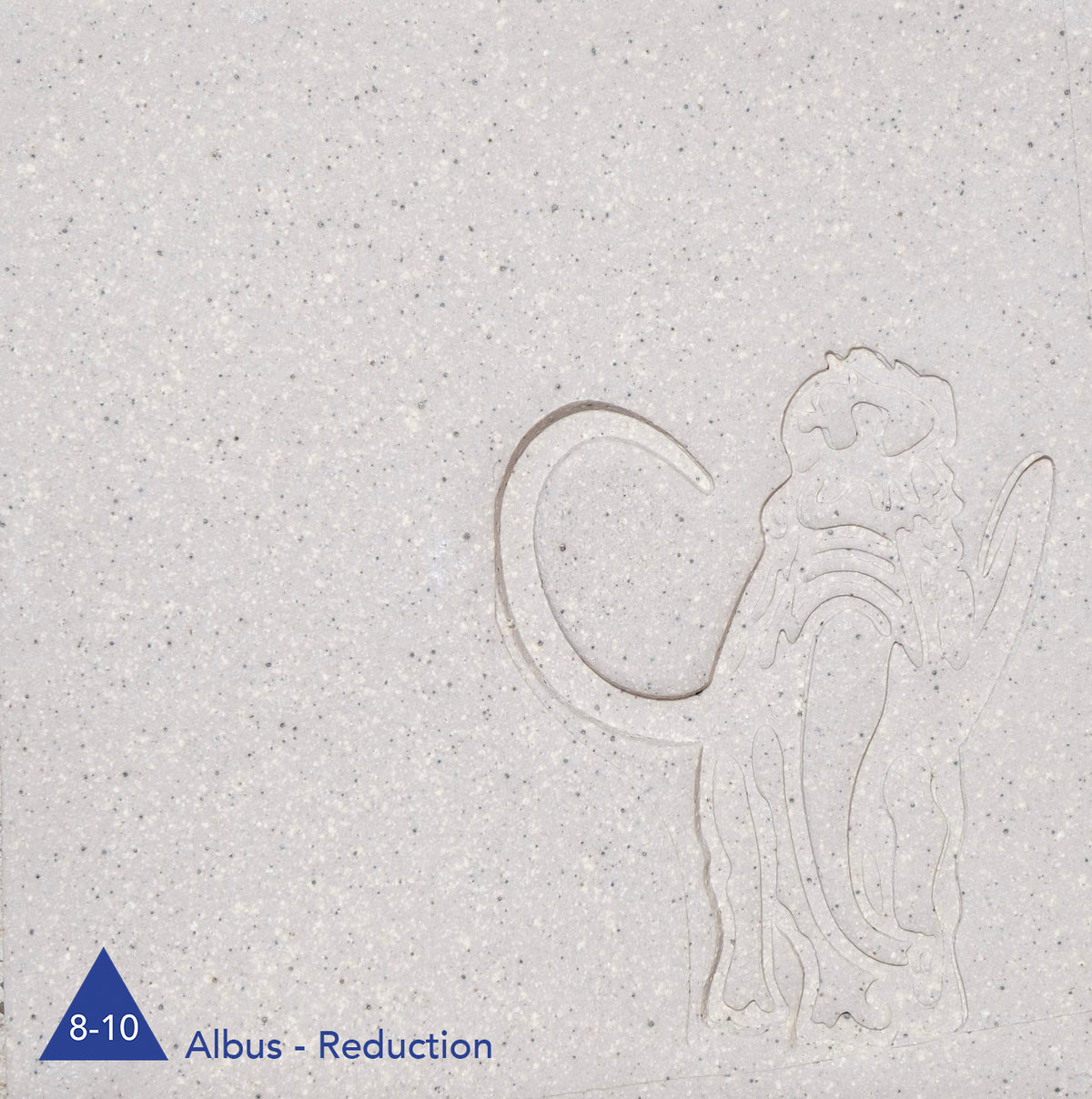 Albus Stone