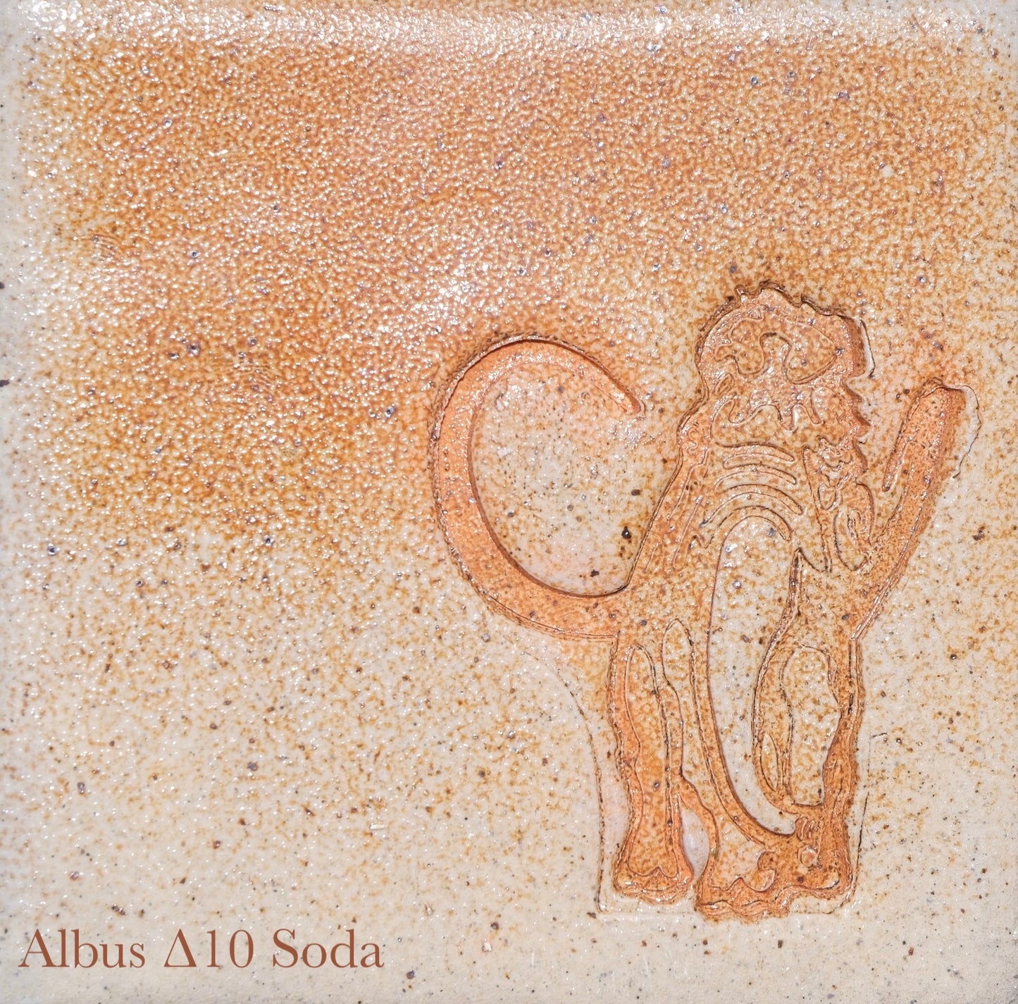 Albus Stone