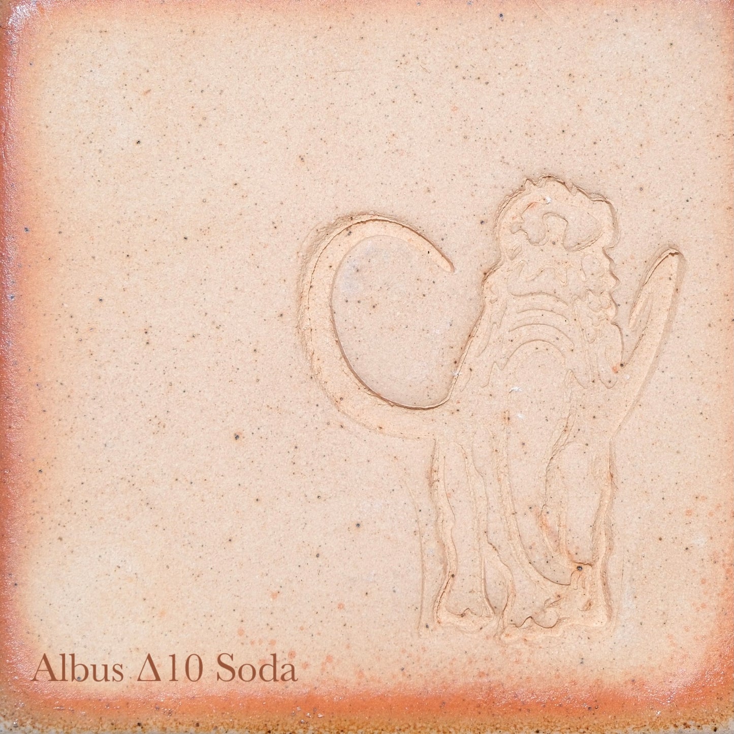 Albus Stone