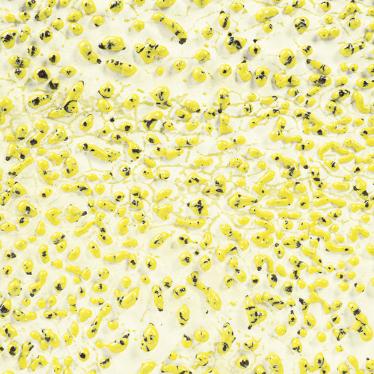 Speckled Yellow CR-61 - AMACO Crawls - Pint
