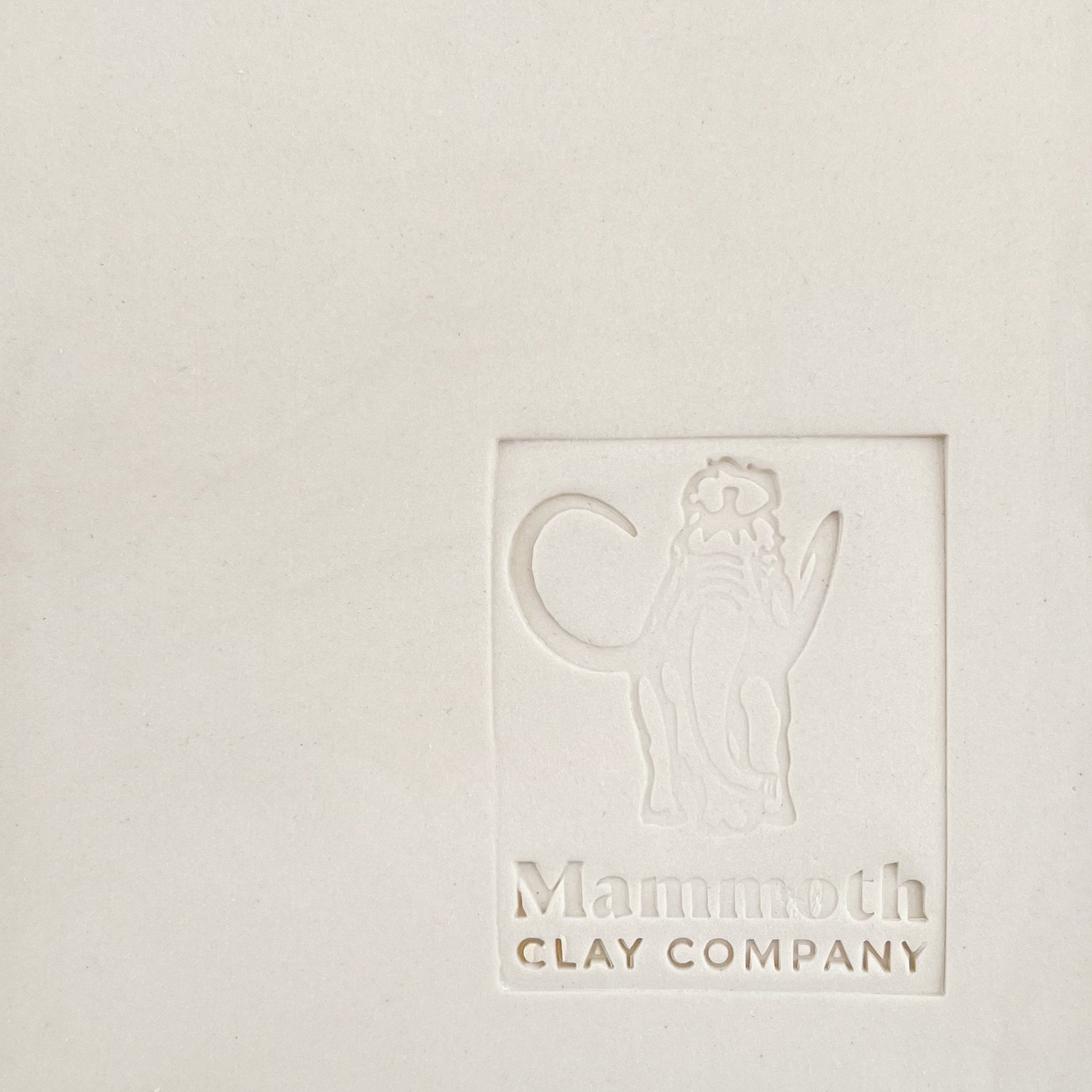 Buy L&R Translucent Porcelain ^6- Mammoth Clay, Oklahoma City – Mammothclay