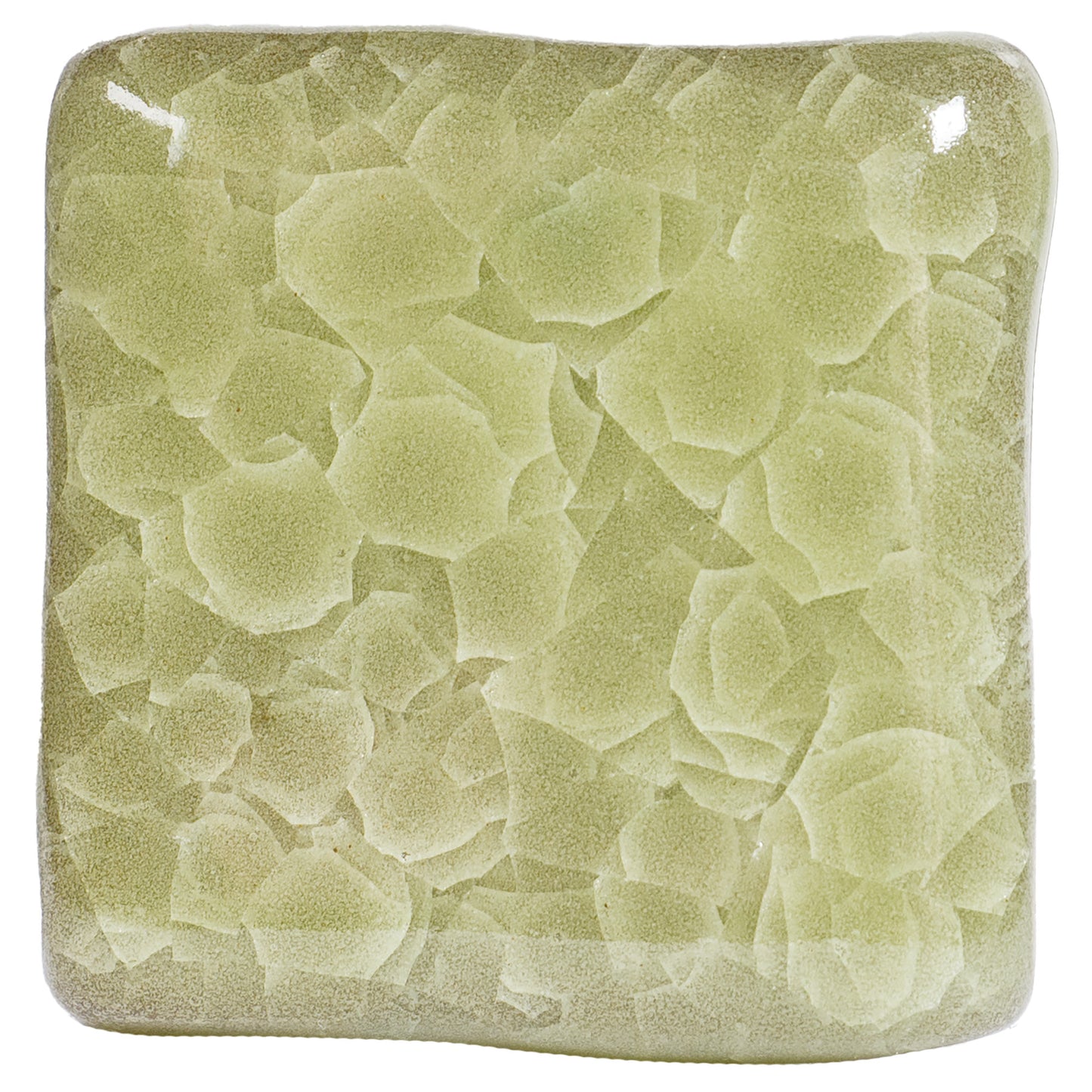 Frozen Fern KI-46 - AMACO Kiln Ice - Pint