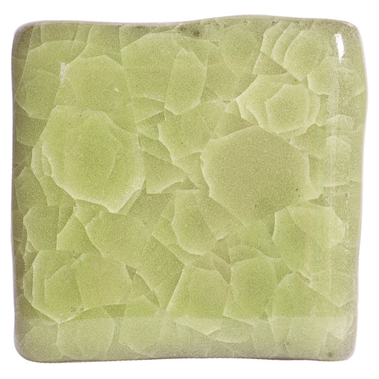 Frozen Fern KI-46 - AMACO Kiln Ice - Pint