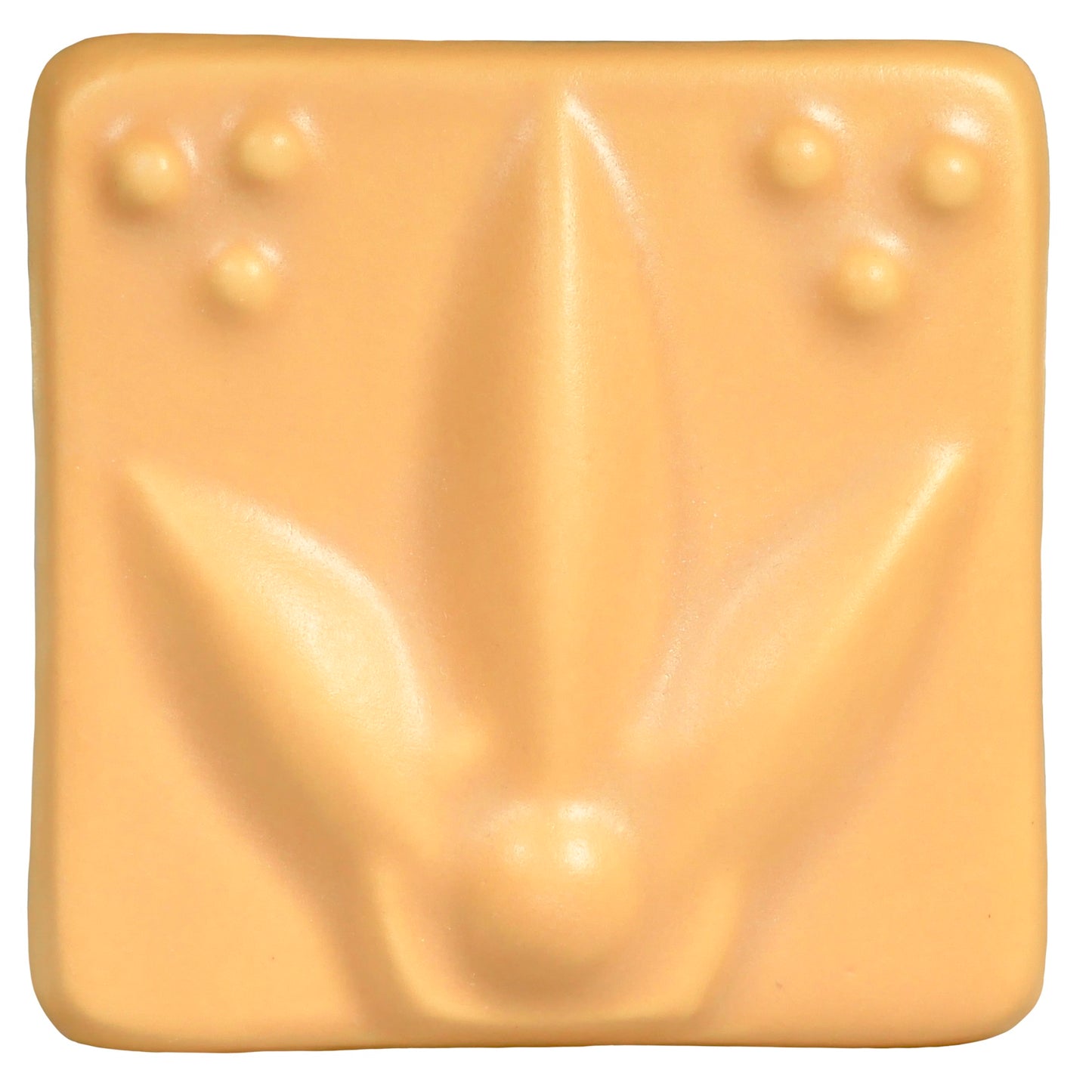 Goldenrod SM-60 - AMACO Satin Matte - Pint