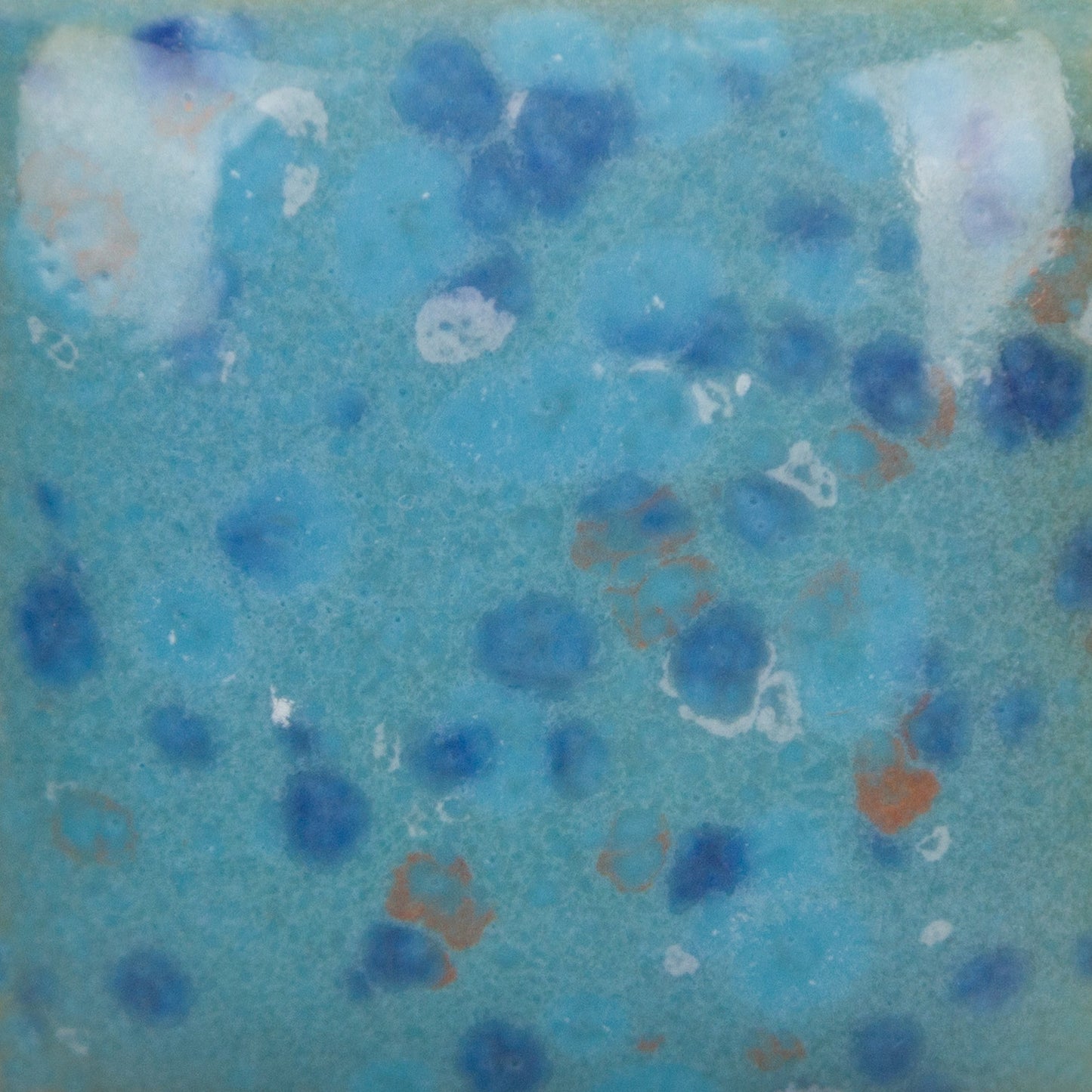 Speckled Tic-Tac Turquoise - 8oz - Mayco Stroke & Coat