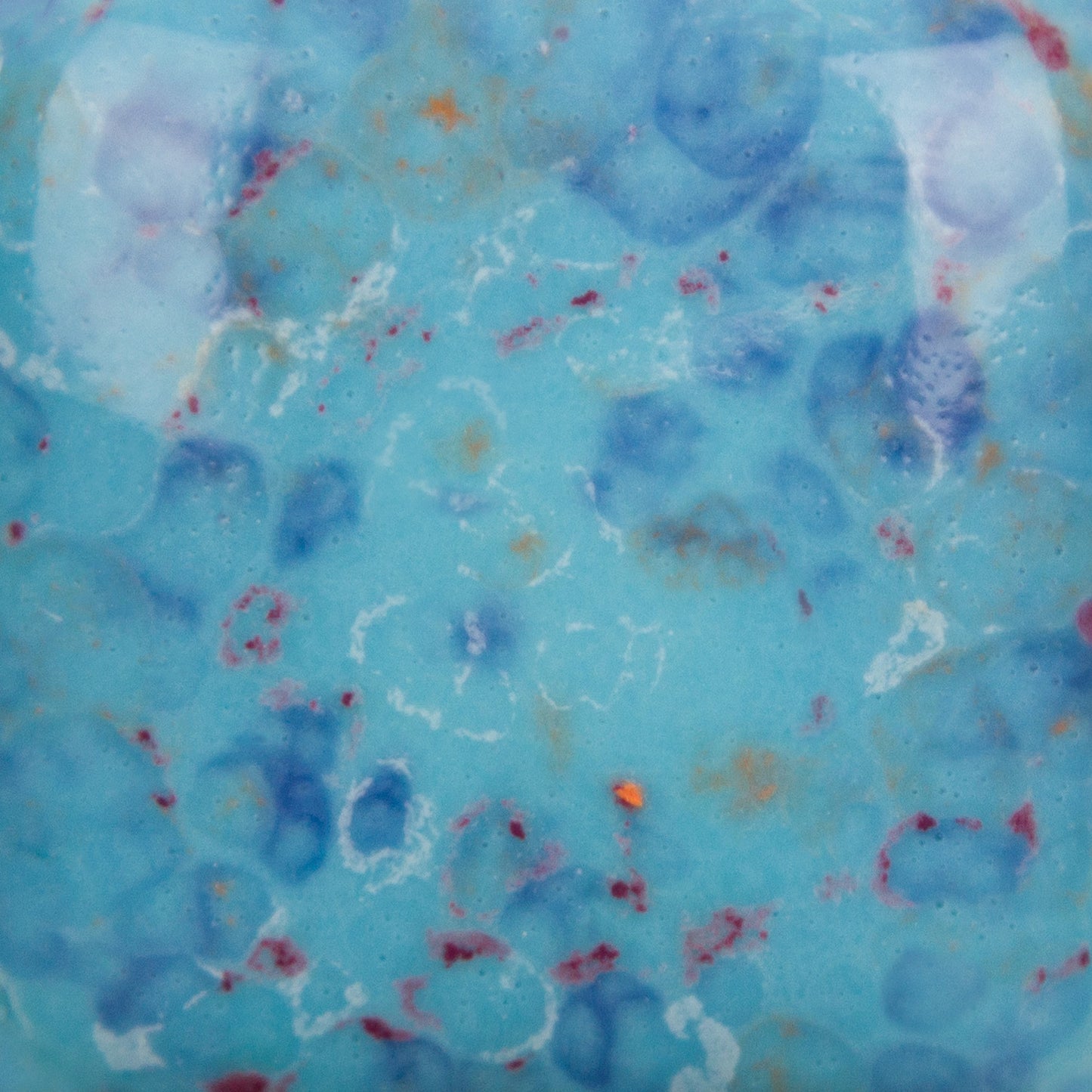 Speckled Tic-Tac Turquoise - 8oz - Mayco Stroke & Coat