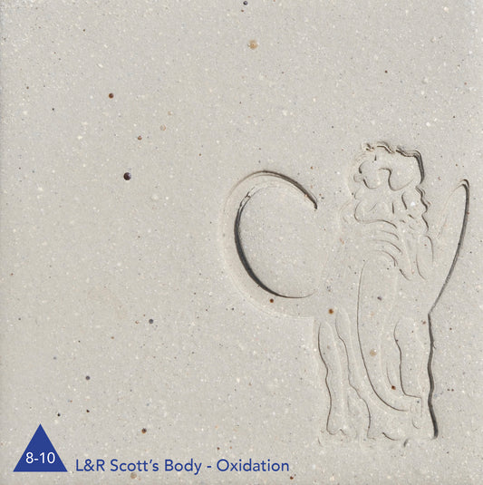L&R Scott's Body