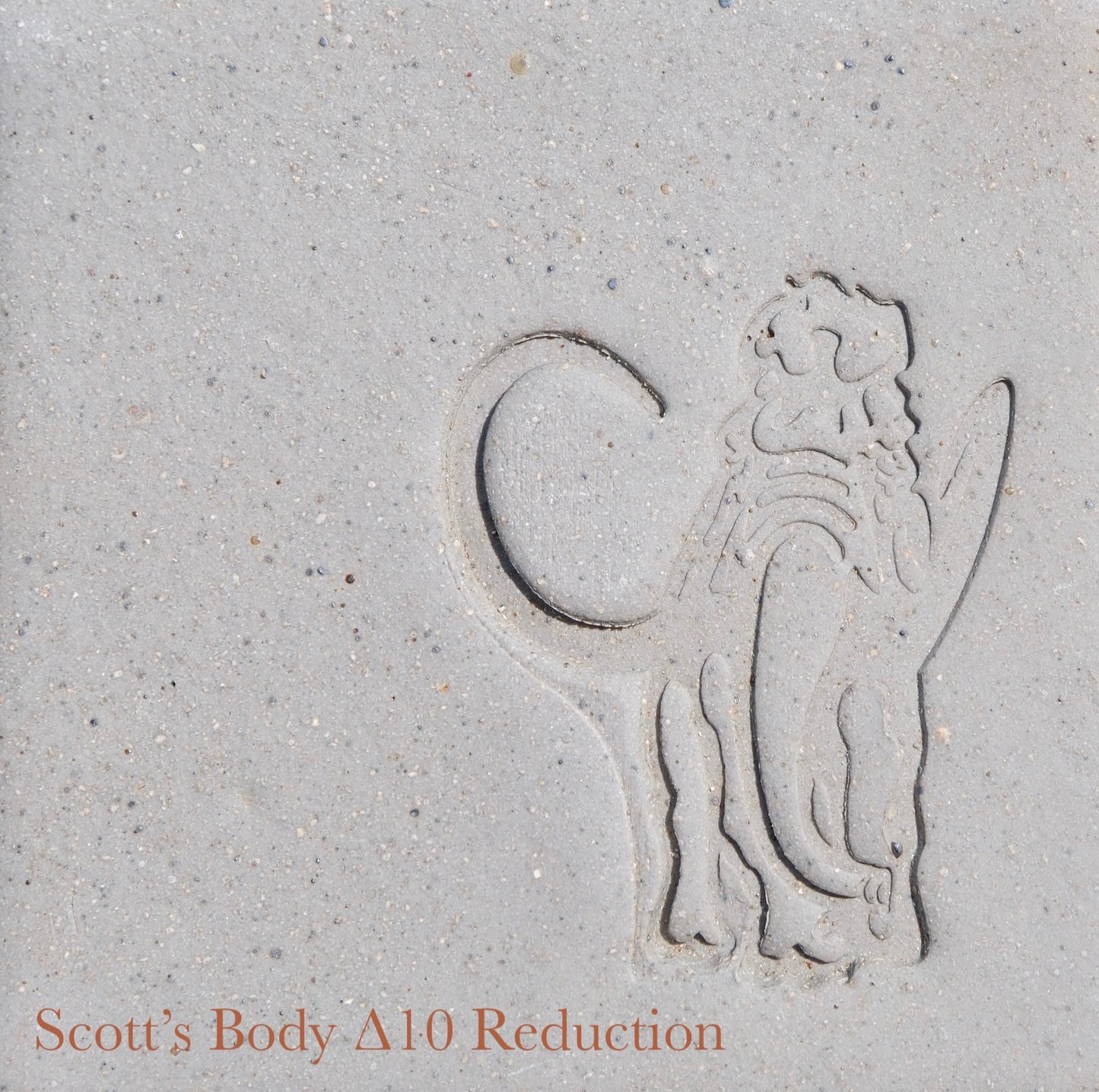 L&R Scott's Body