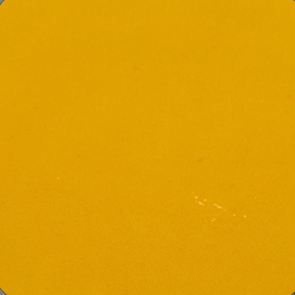 Mustard Yellow KIWI Underglaze