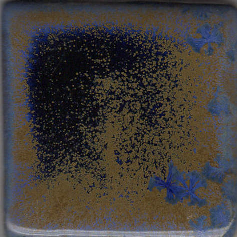 Crystal Lagoon Coyote Clay & Color