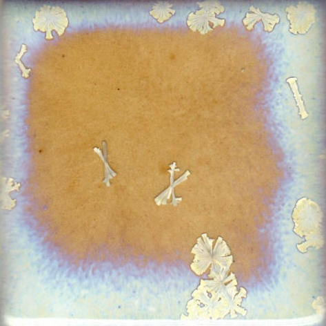 Crystal Nebula Coyote Clay & Color