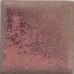 Magenta Sky Coyote Clay & Color