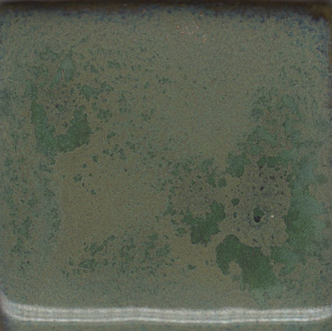 Pam's Green Coyote Clay & Color