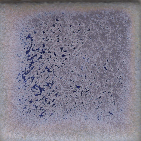 Blue Purple Coyote Clay & Color