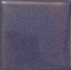 Amethyst Coyote Clay & Color