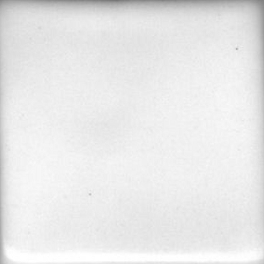 Satin White Liner Coyote Clay & Color