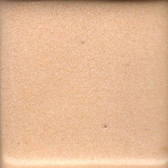 Apricot Coyote Clay & Color
