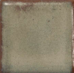 Antique Pearl Coyote Clay & Color