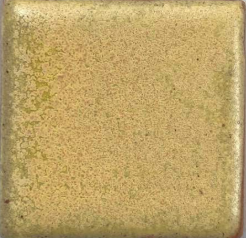 Parakeet Yellow Coyote Clay & Color