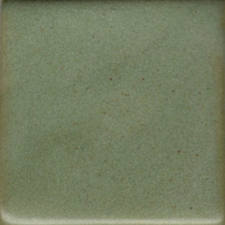 Deep Avocado Coyote Clay & Color