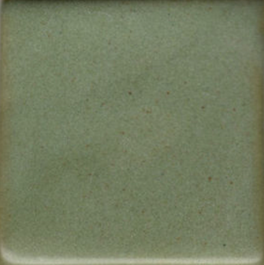 Deep Avocado Coyote Clay & Color