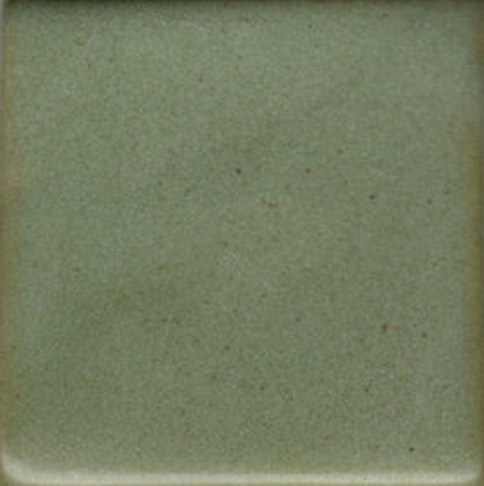 Deep Avocado Coyote Clay & Color