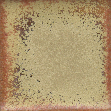 Red Gold Coyote Clay & Color