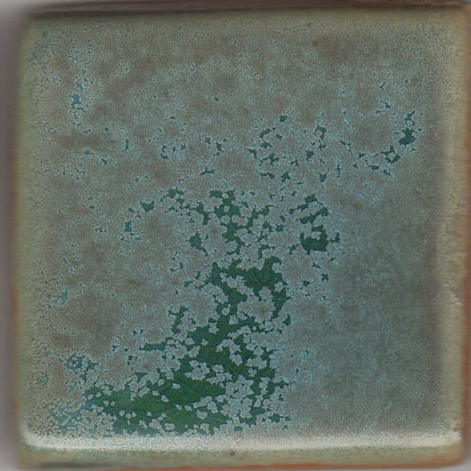 Gun Metal Green Coyote Clay & Color