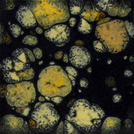 Black Iris - 16oz - Mayco Jungle Gems
