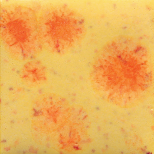 Citrus Splash - 16oz - Mayco Jungle Gems