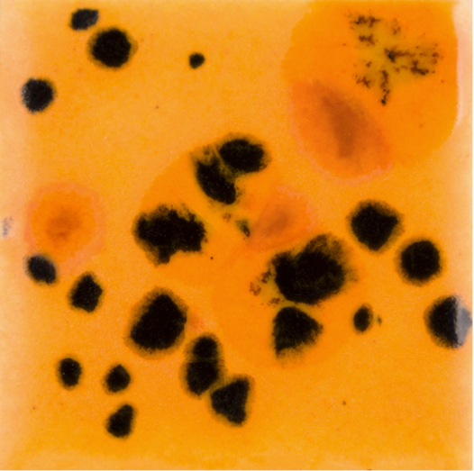 Papaya - 16oz - Mayco Jungle Gems