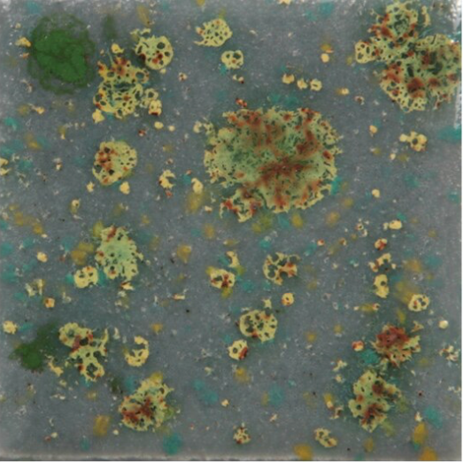 Mountain Moss - 16oz - Mayco Jungle Gems