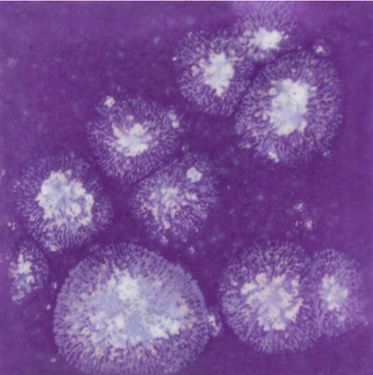 Grape Divine - 16oz - Mayco Jungle Gems