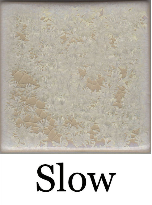Coyote Clay & Color - Ivory Crystal