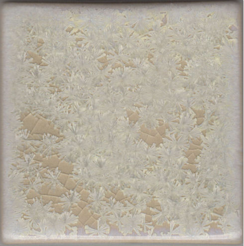 Coyote Clay & Color - Ivory Crystal