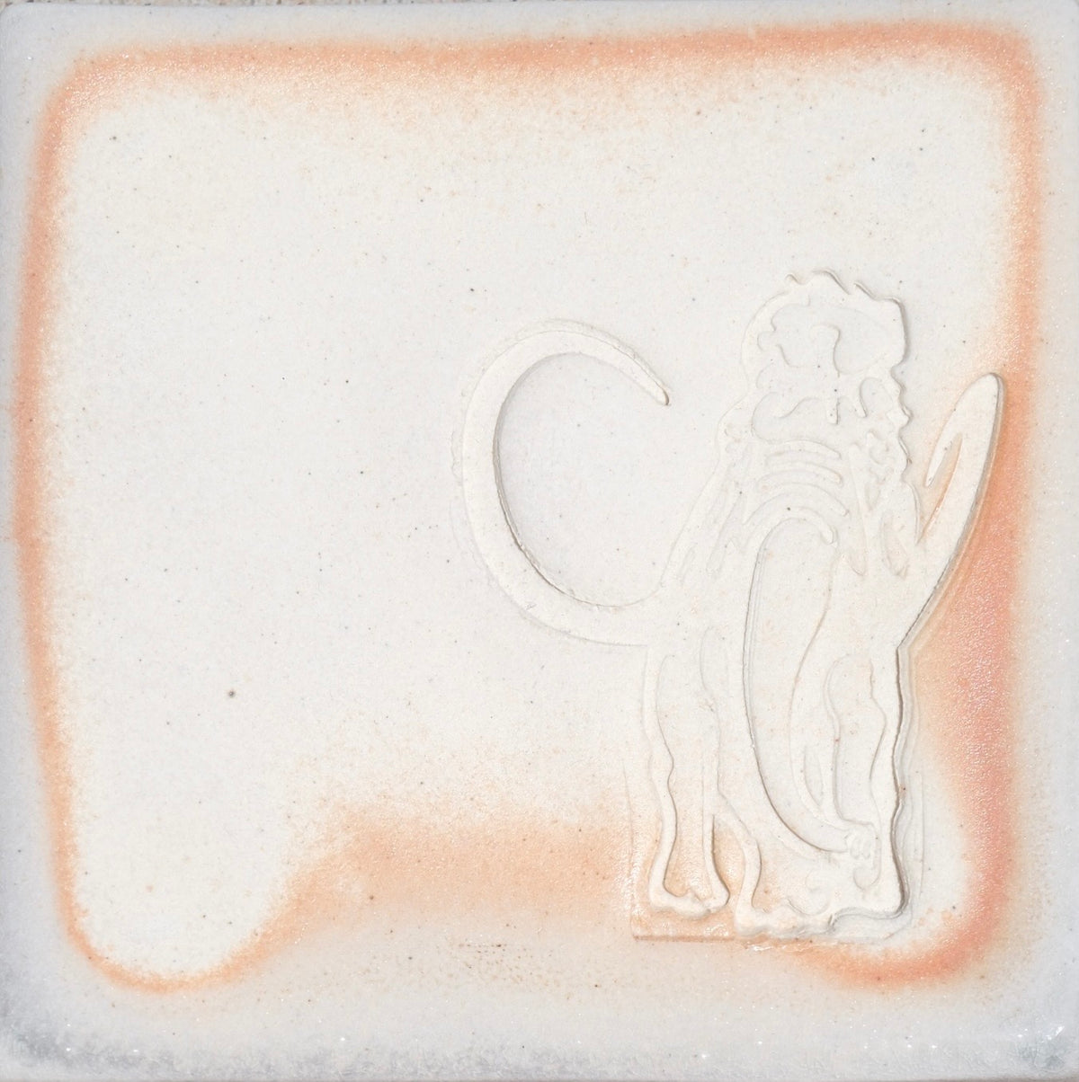 Tusk Porcelain