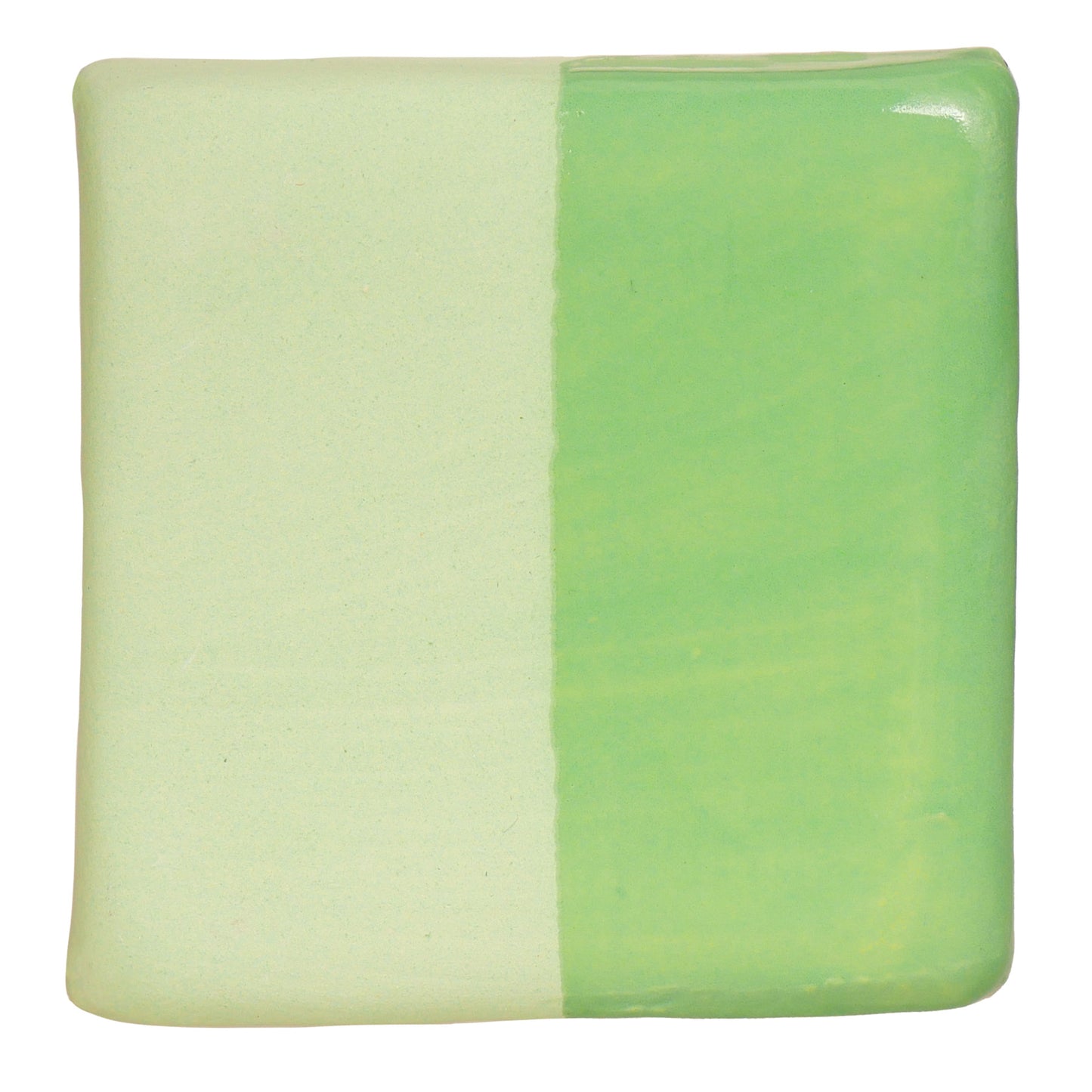 Cactus V-349 - AMACO Velvet Underglaze - Pint