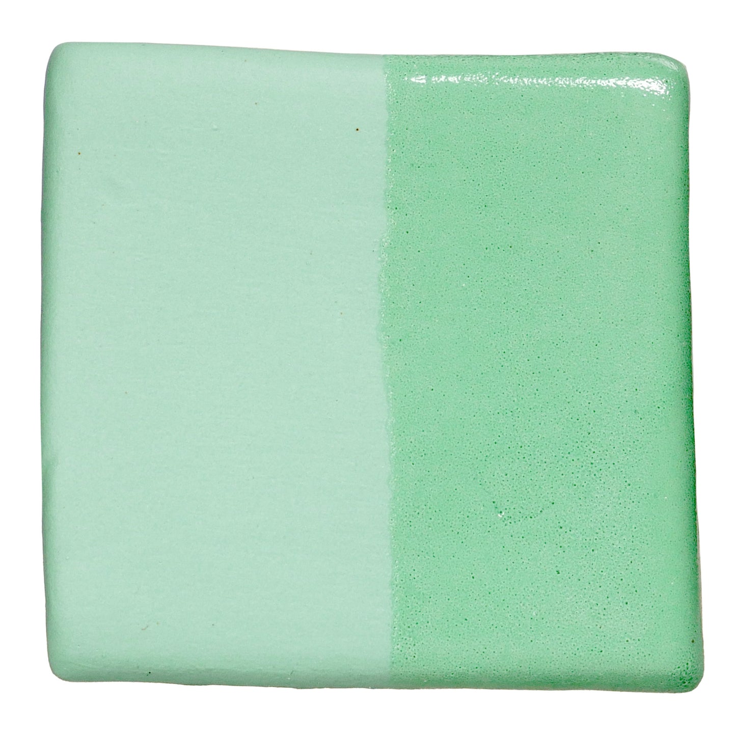 Cactus V-349 - AMACO Velvet Underglaze - Pint