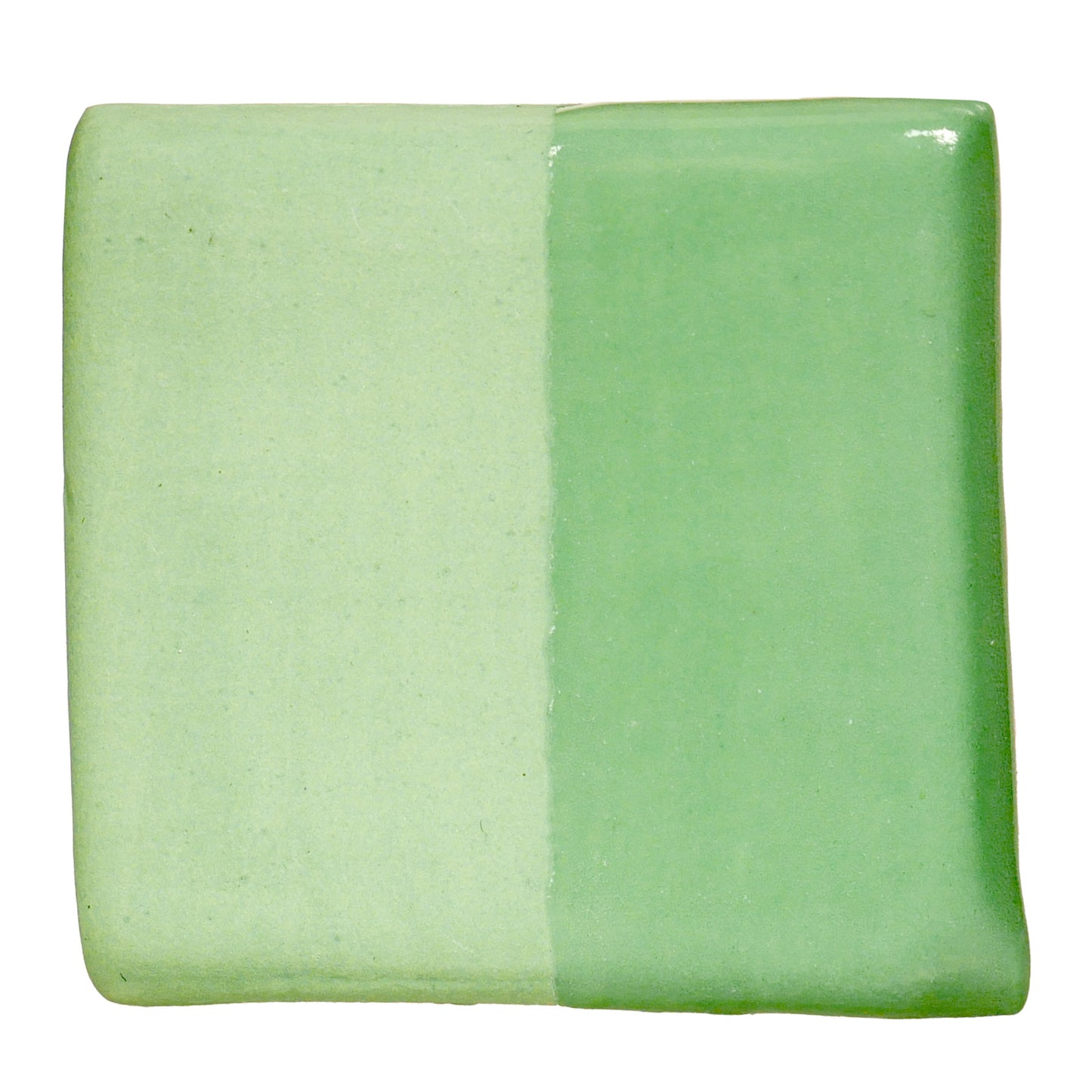 Cactus V-349 - AMACO Velvet Underglaze - Pint